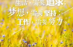 %title缩略图
